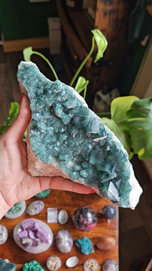 Phenomenal Green Fluorite 10" inch crystal 1.384kg