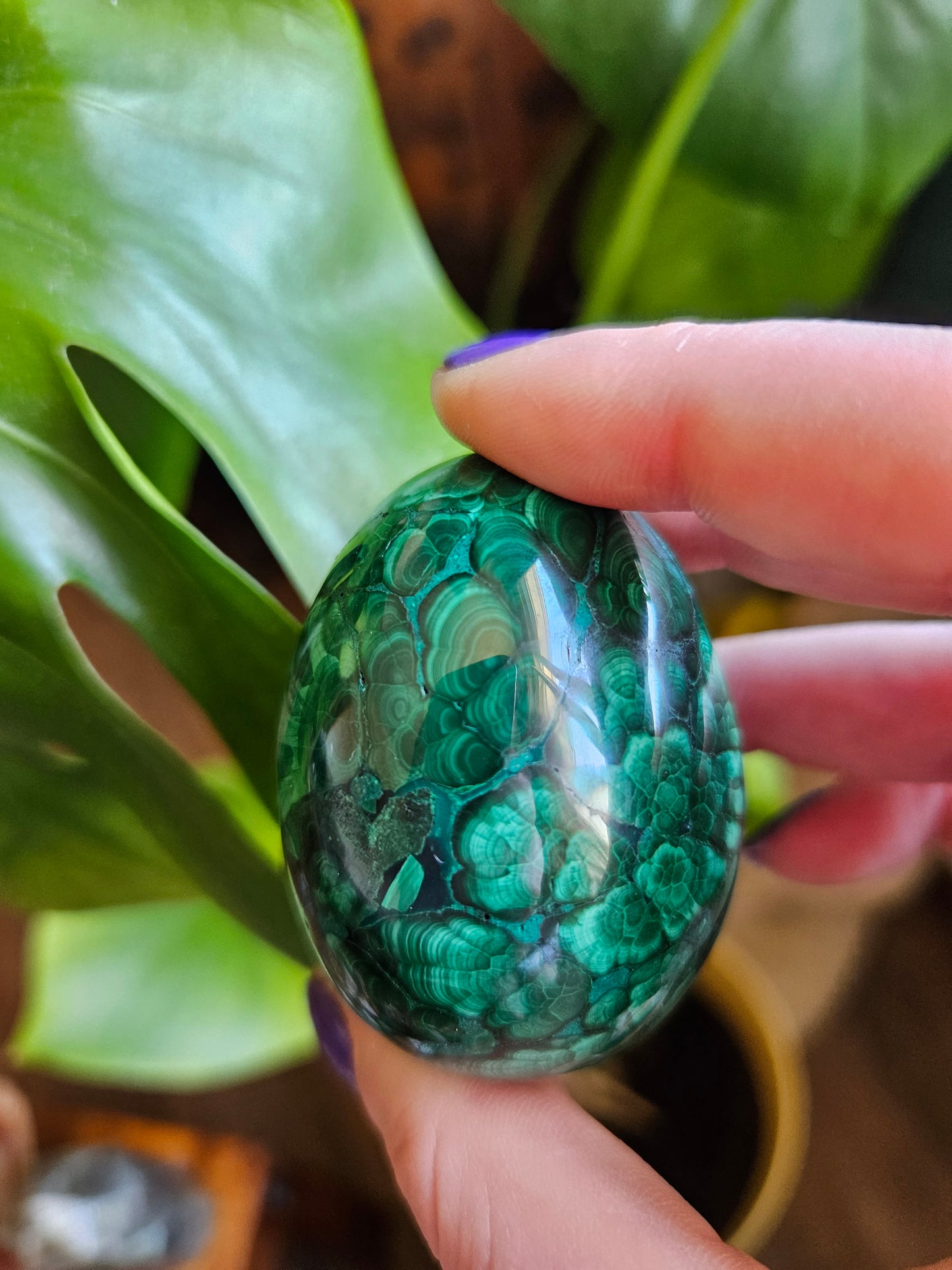 Malachite egg