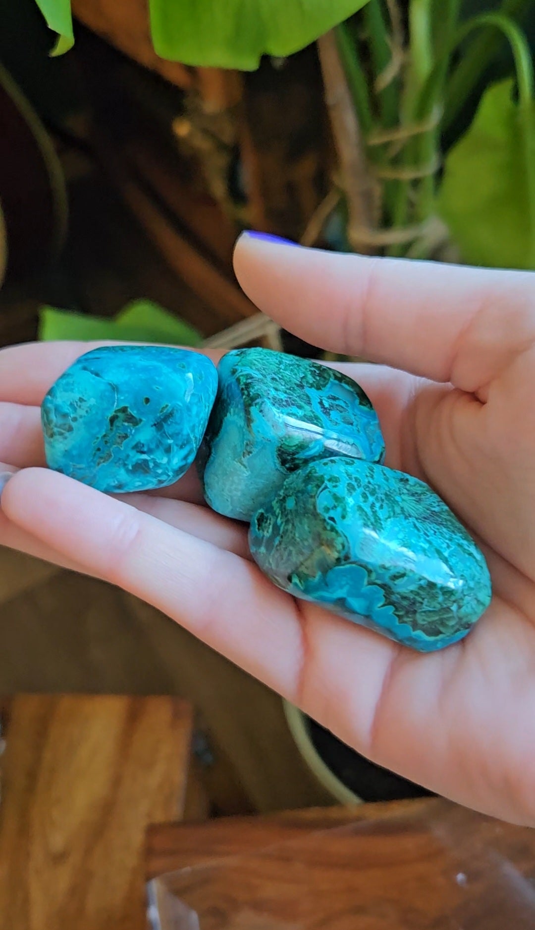 Chrysocolla Azurite tumblestones