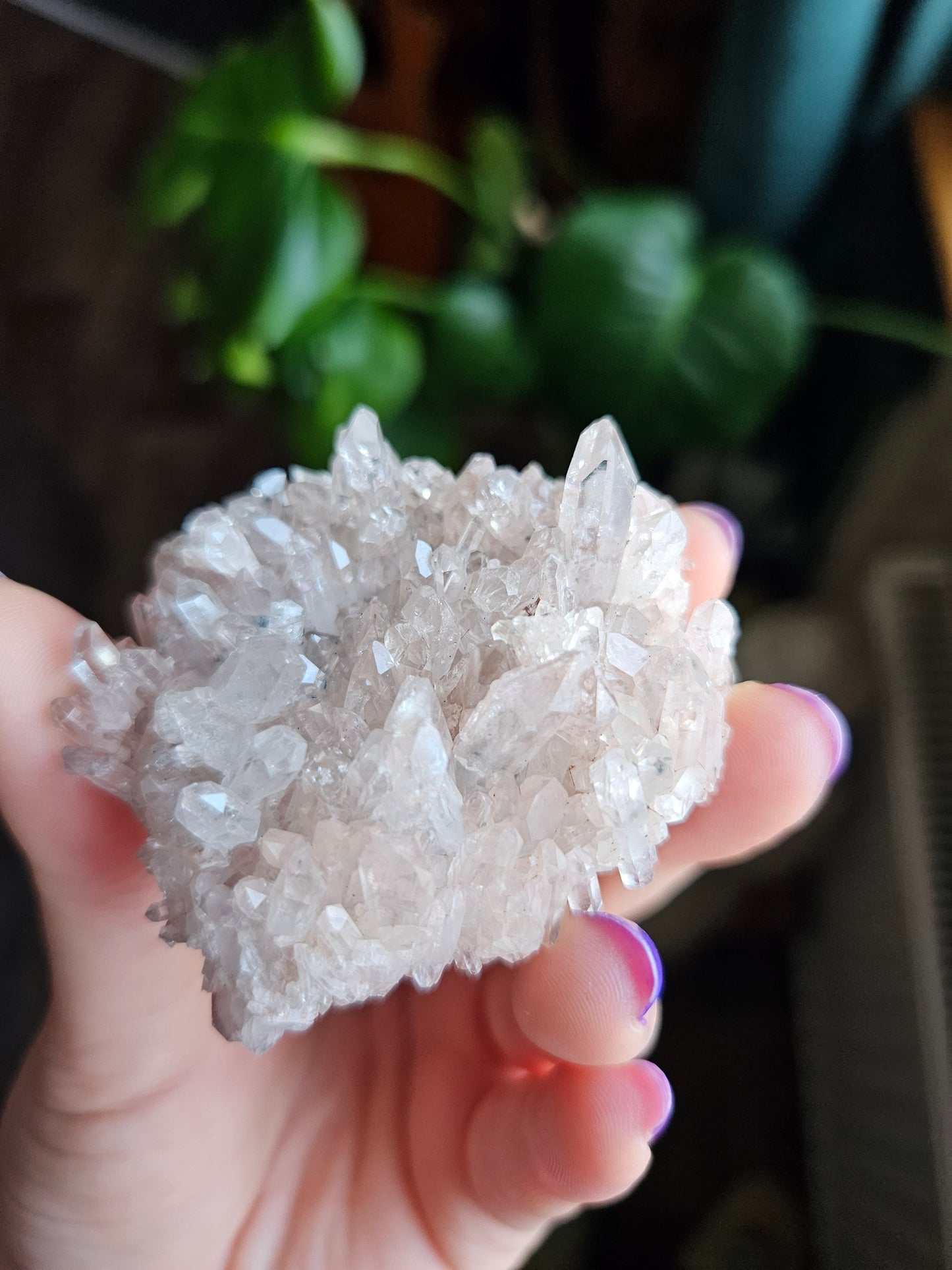 Pink Colombian Lemurian Quartz