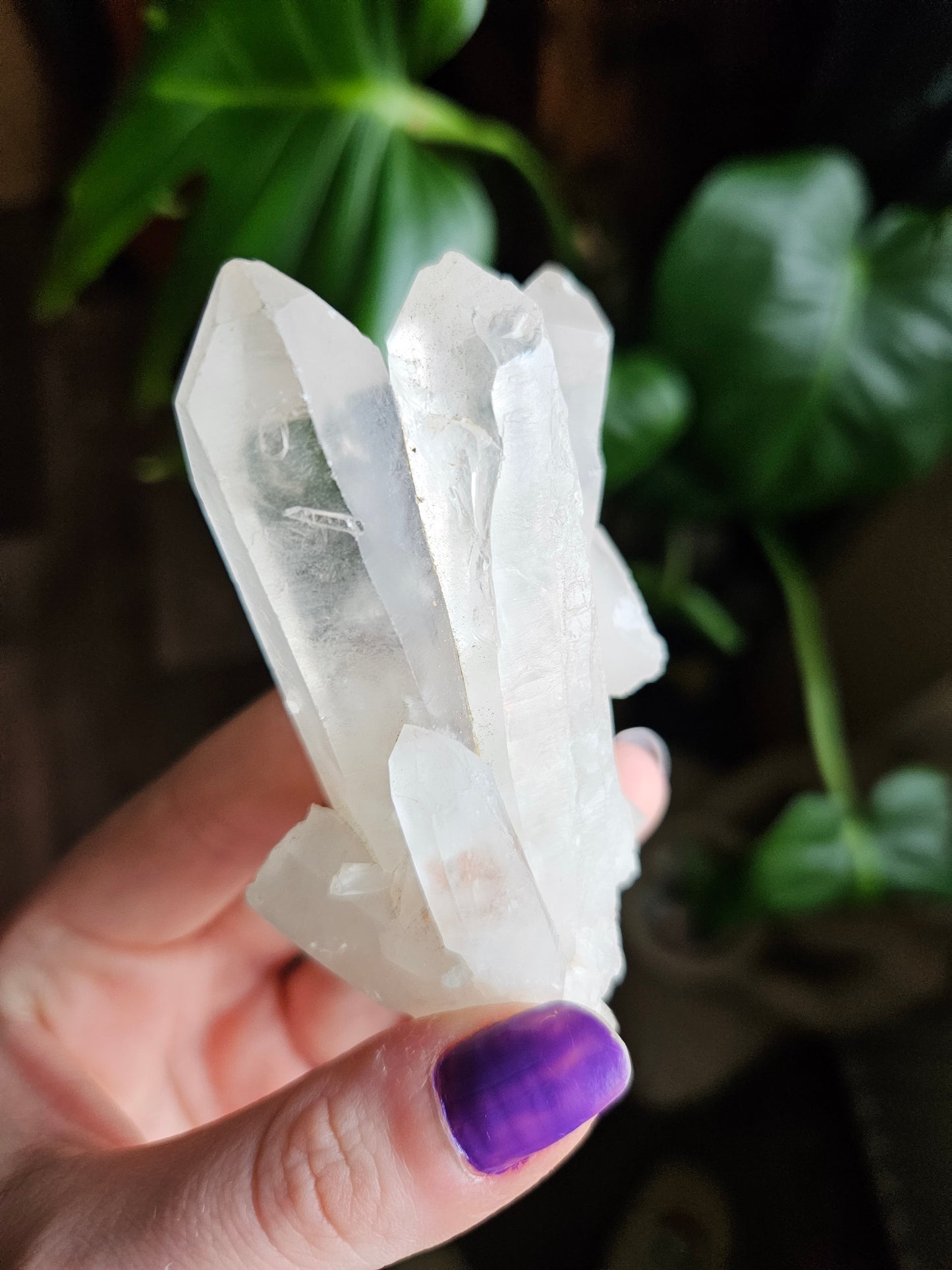 Madagascan Quartz cluster