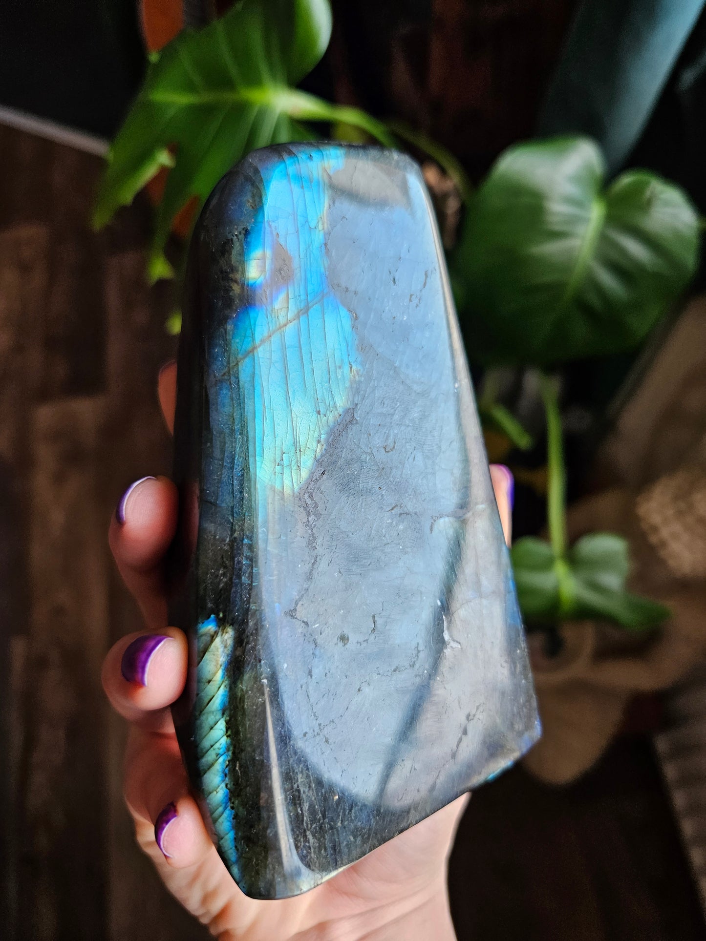 Large Labradorite freeform - 883g