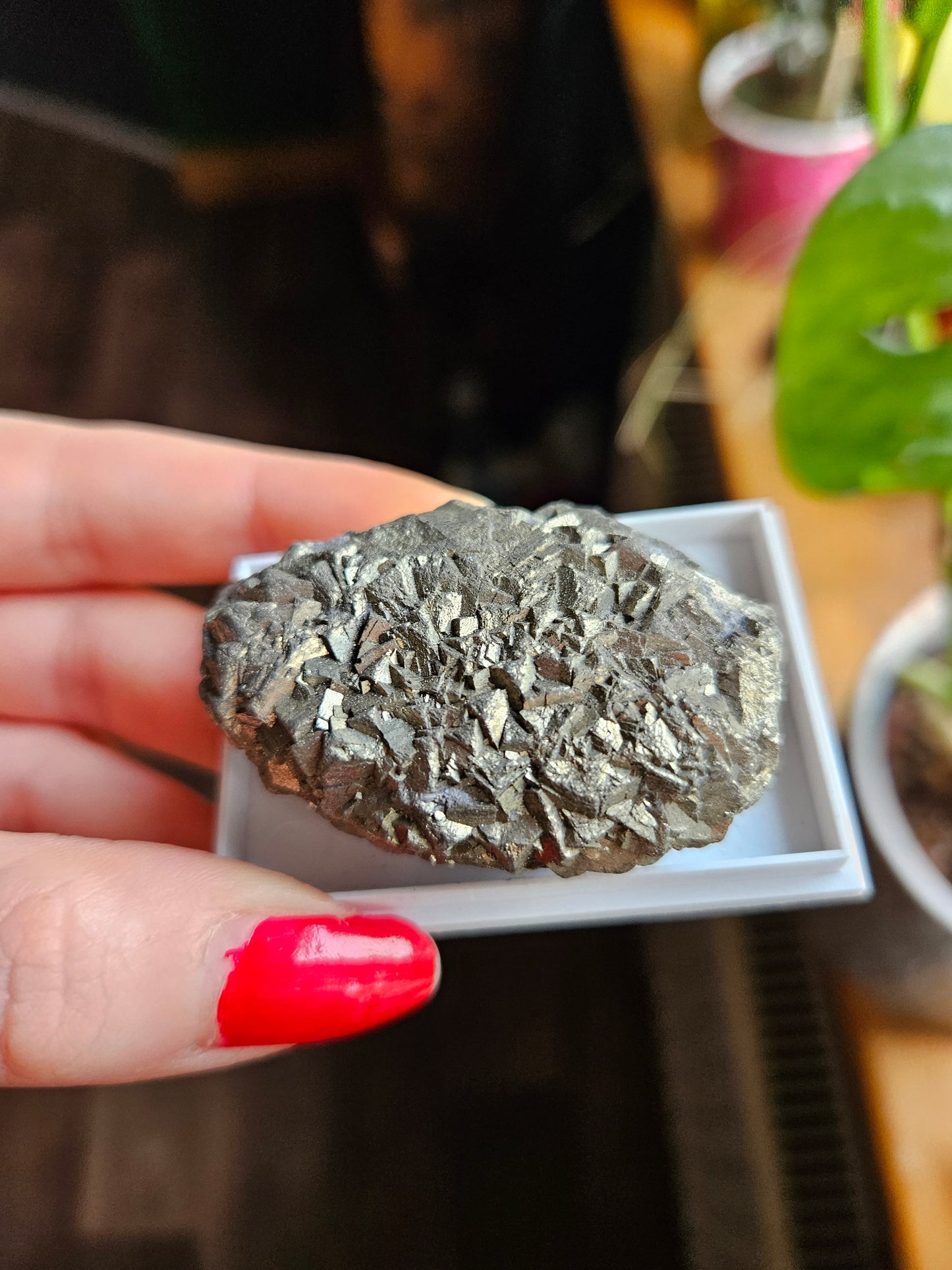 Large Pyrite in display case