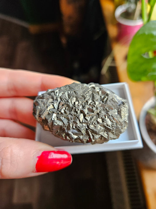 Large Pyrite in display case