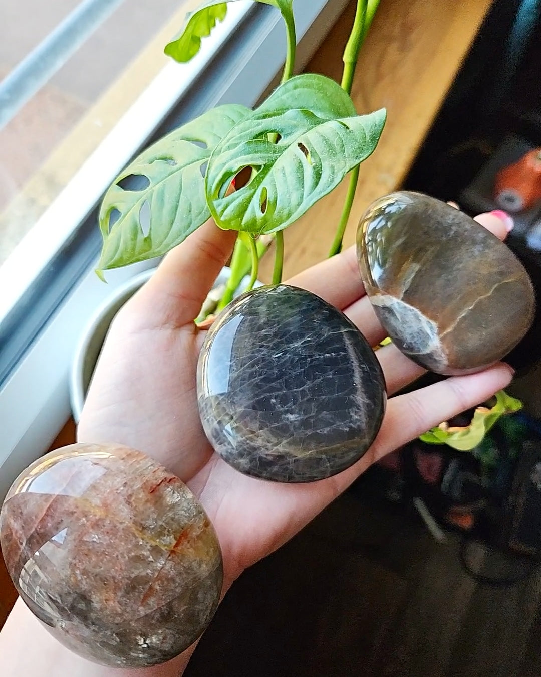 Black Moonstone palmstone