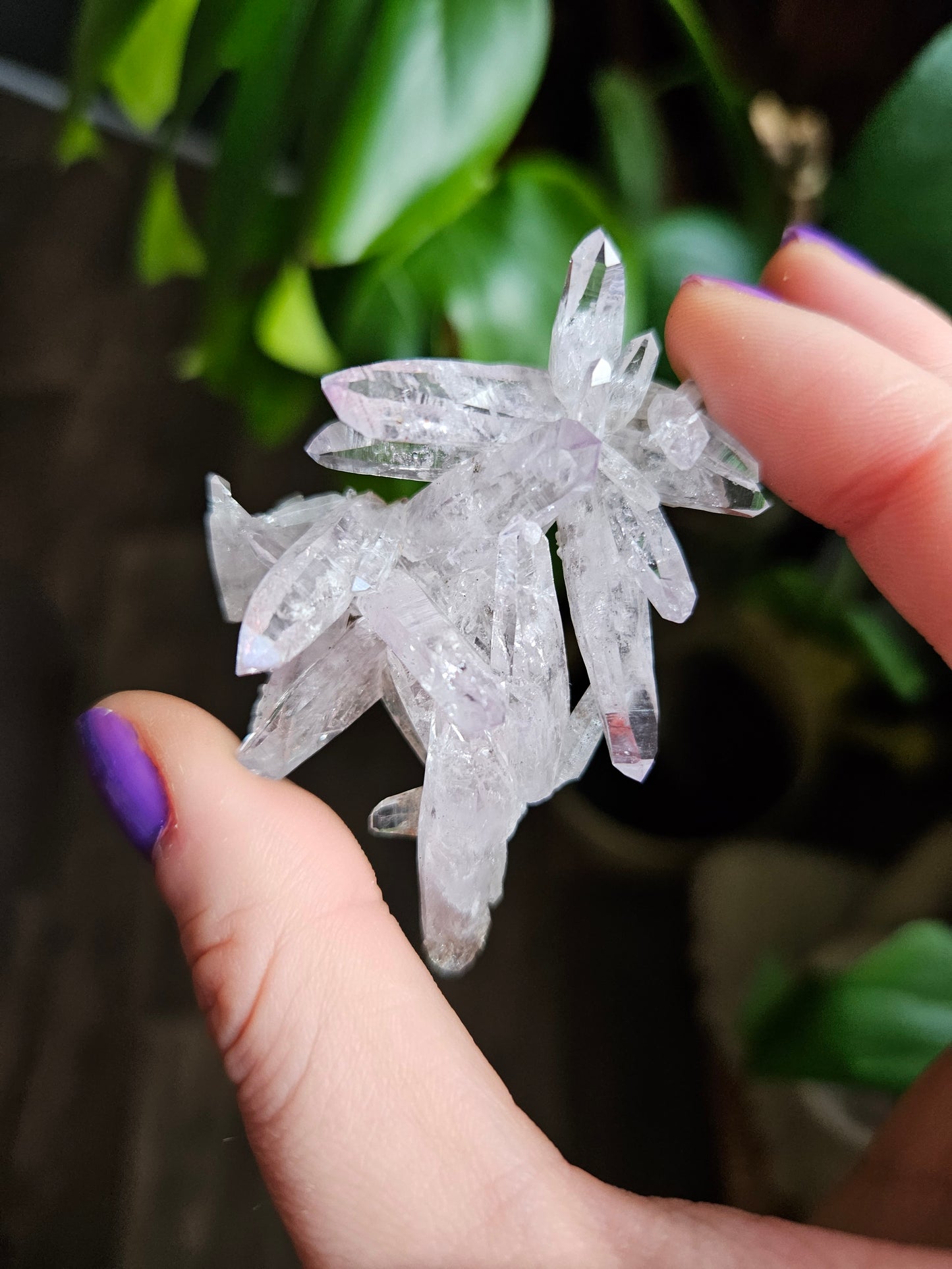 Vera Cruz Amethyst