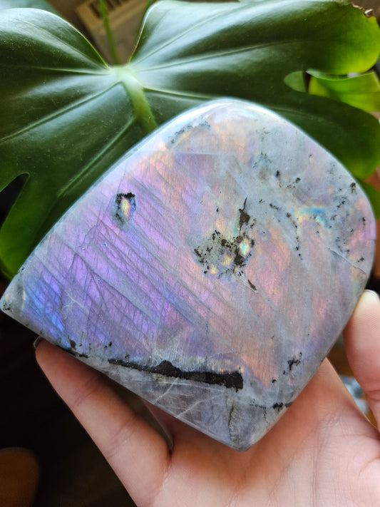 Large Purple Labradorite freeform