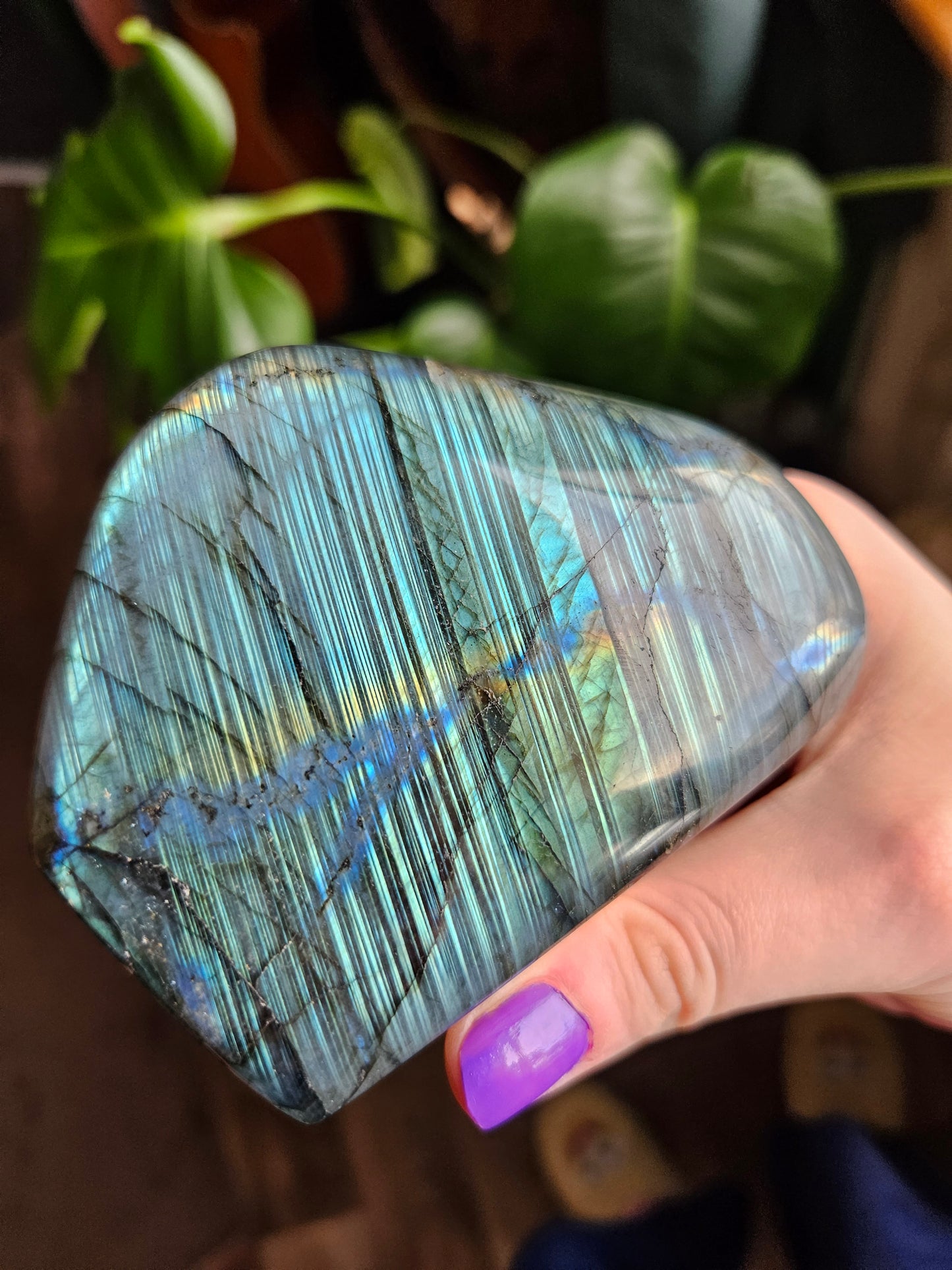 Labradorite freeform - 552g