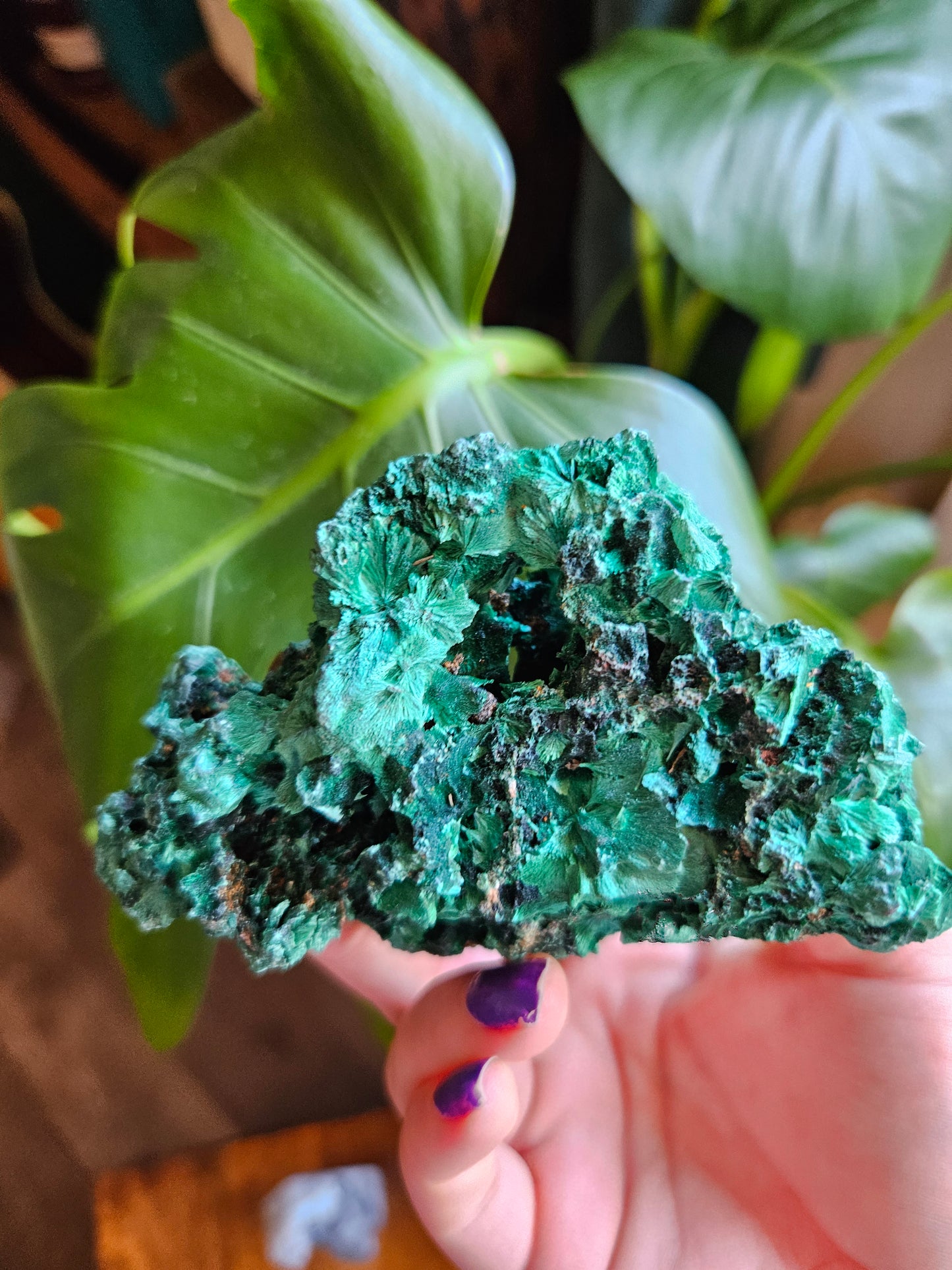 Velvet Malachite specimen - 261g