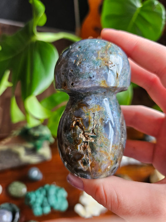 Ocean Jasper mushroom - 280g