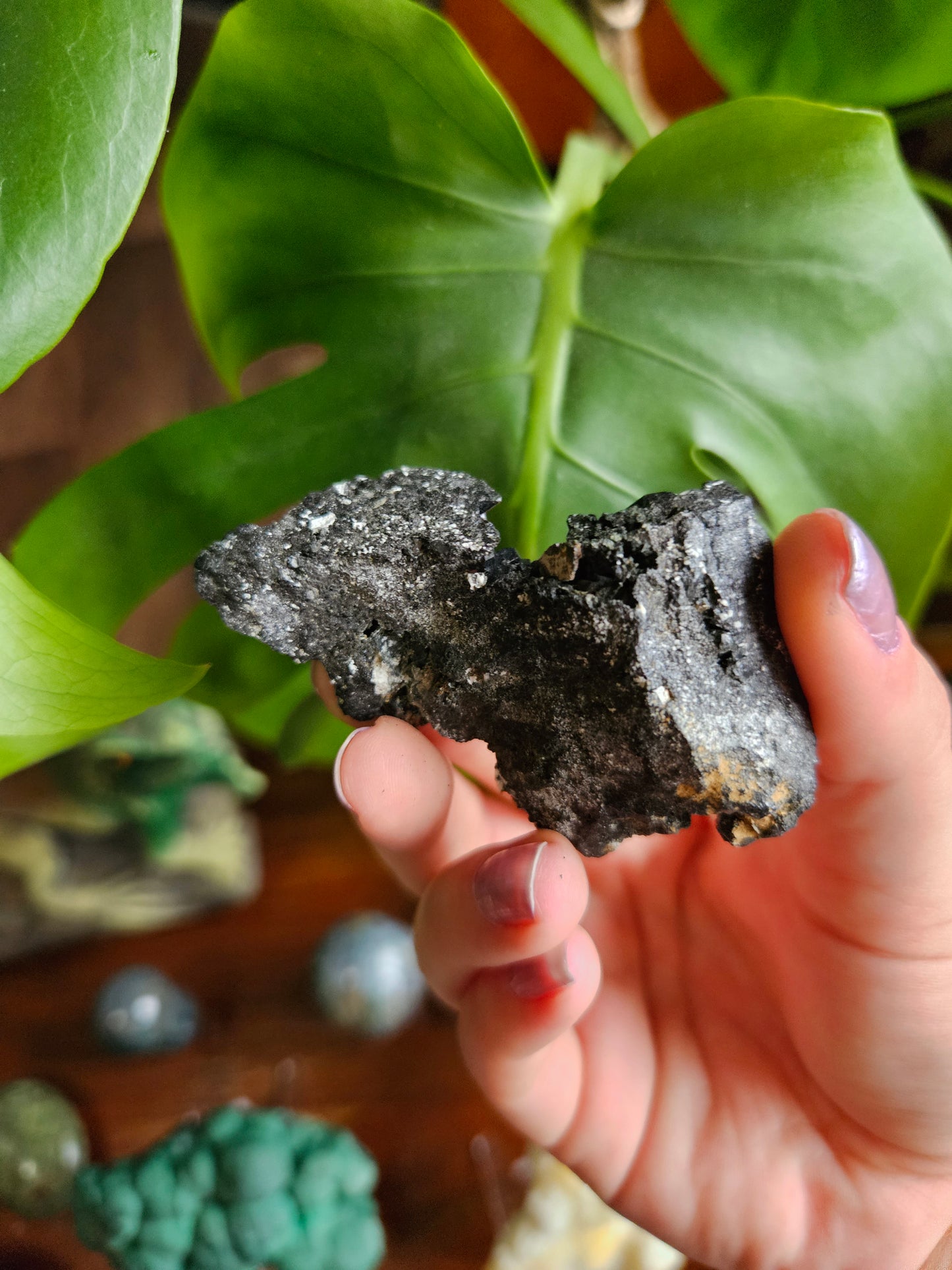 Melanite Black Garnet specimen