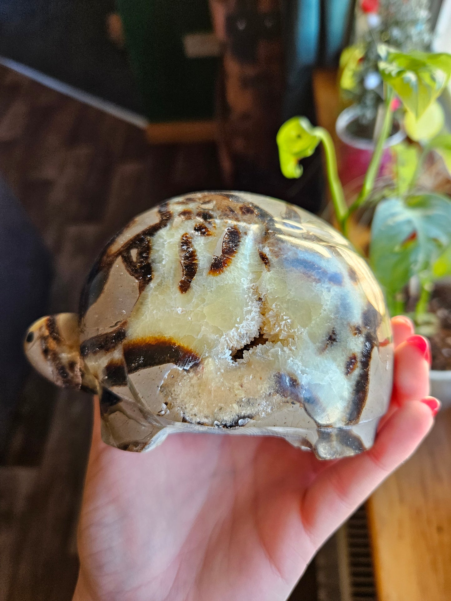 Amazing Septarian turtle carving - 1.1kg