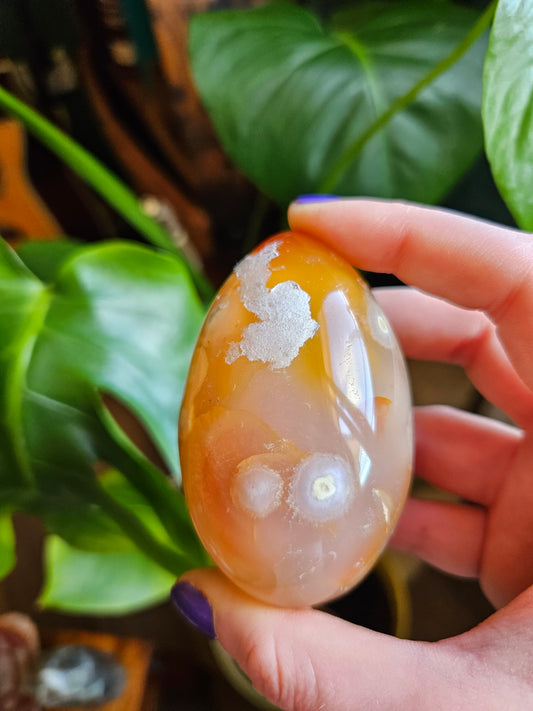 Flower Agate egg