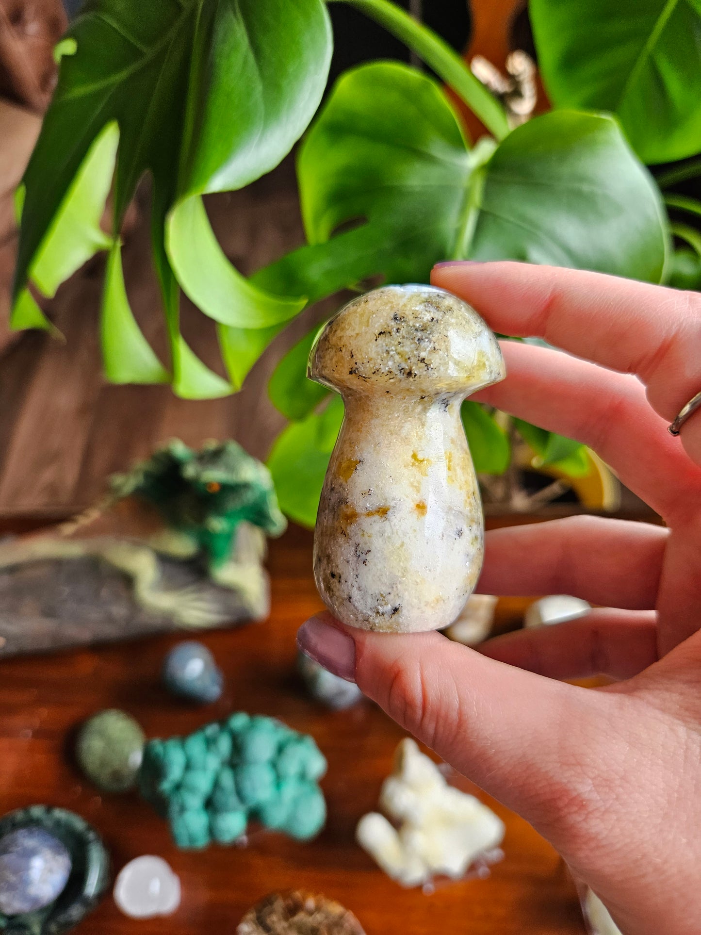 Green Opal mushroom - 145g