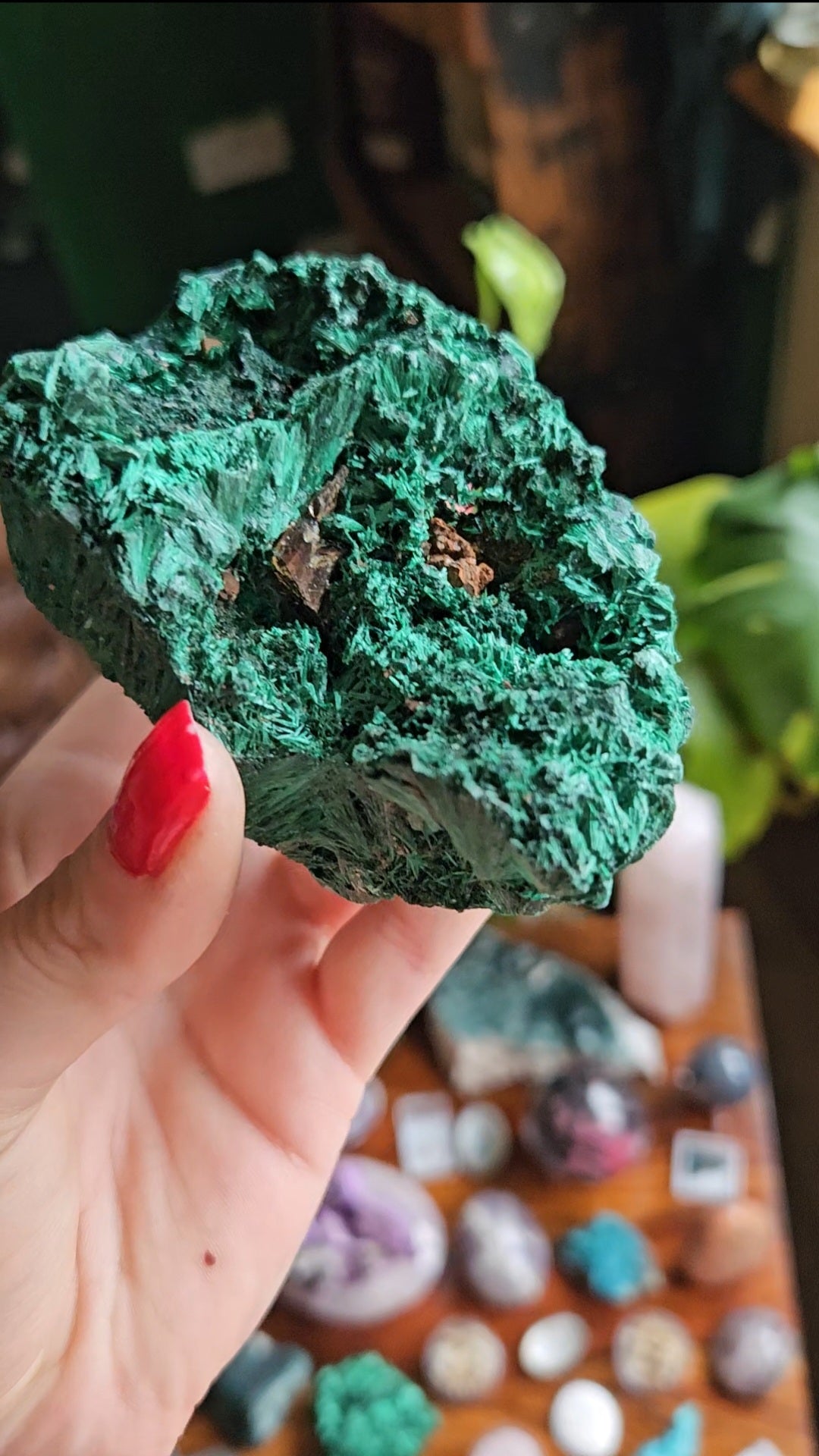 XL Velvet Malachite specimen - 455g