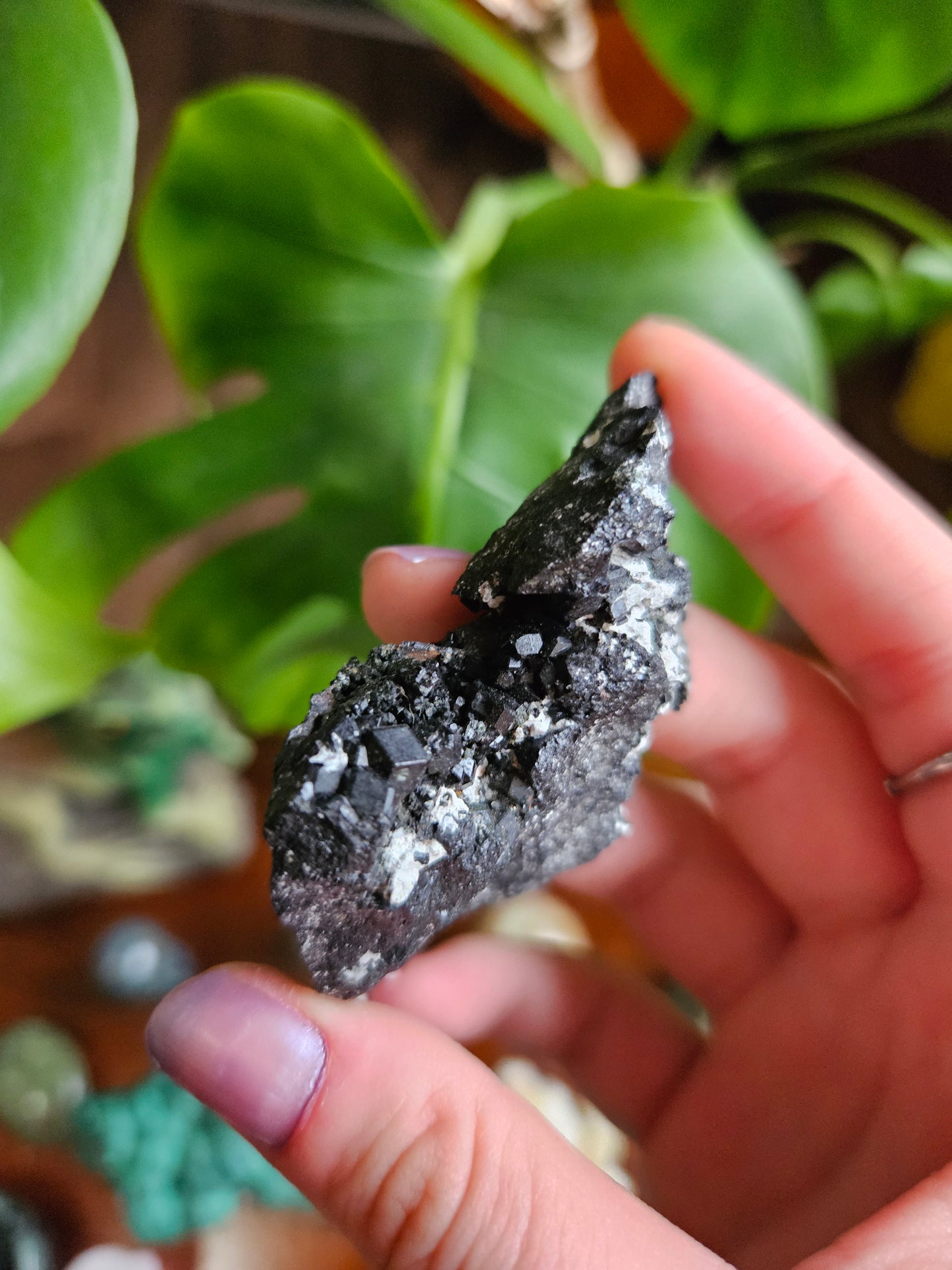 Melanite Black Garnet specimen