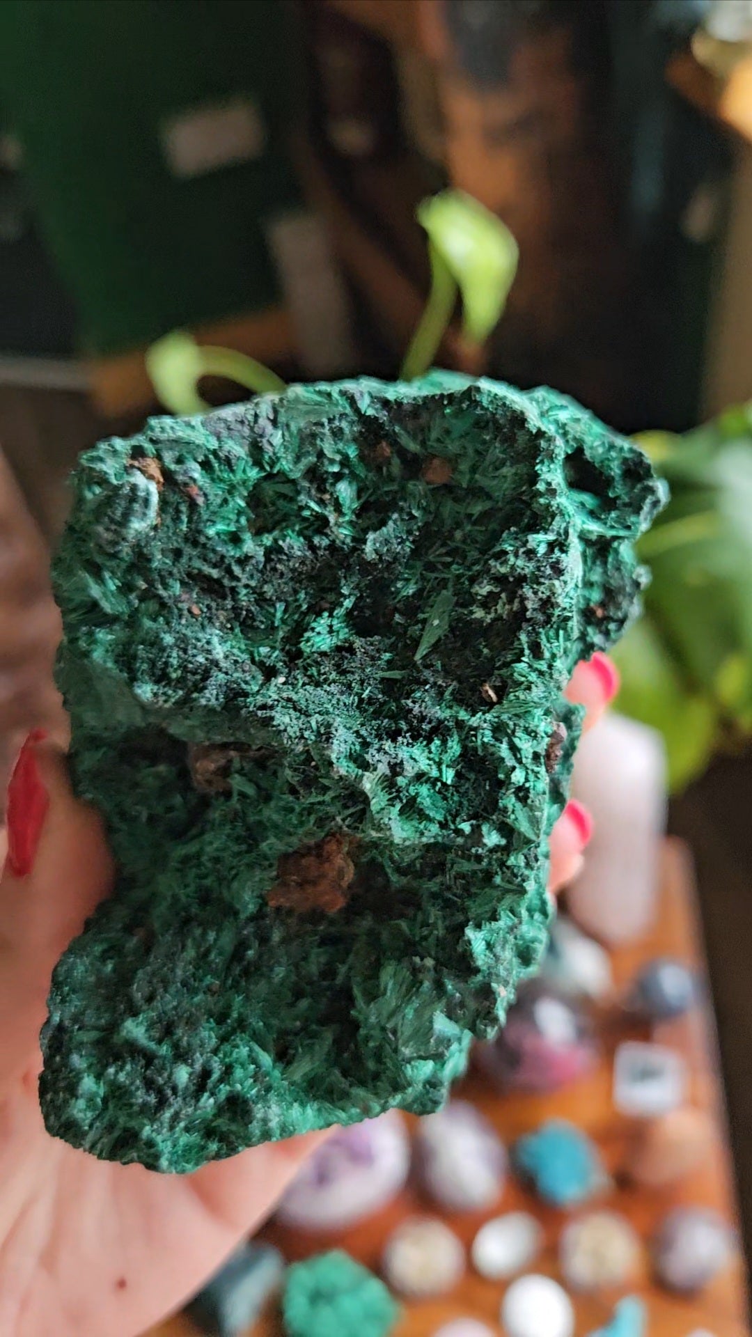 XL Velvet Malachite specimen - 455g