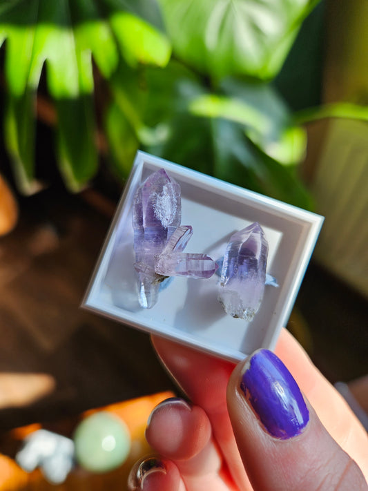 Vera Cruz Amethyst twin points