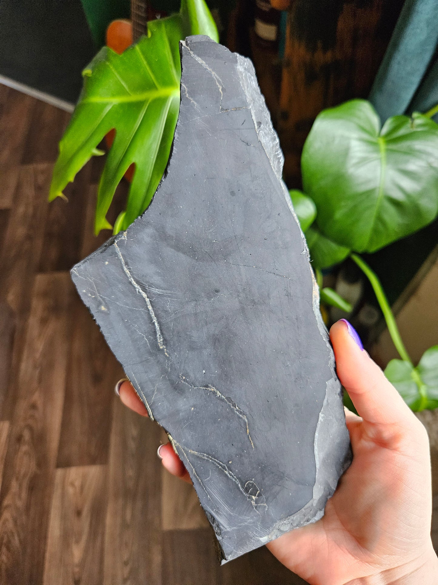XL Shungite slice with Pyrite