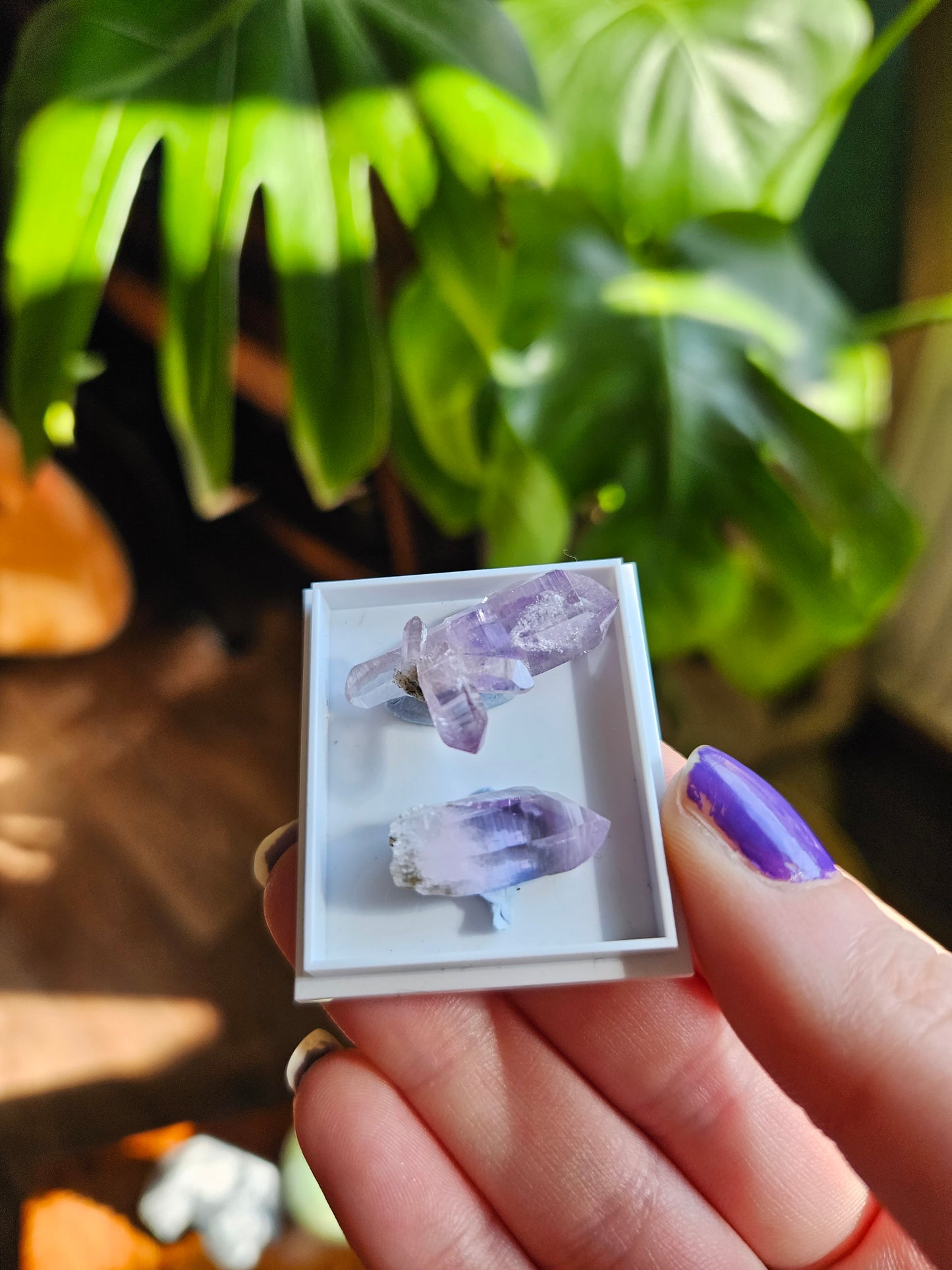Vera Cruz Amethyst twin points