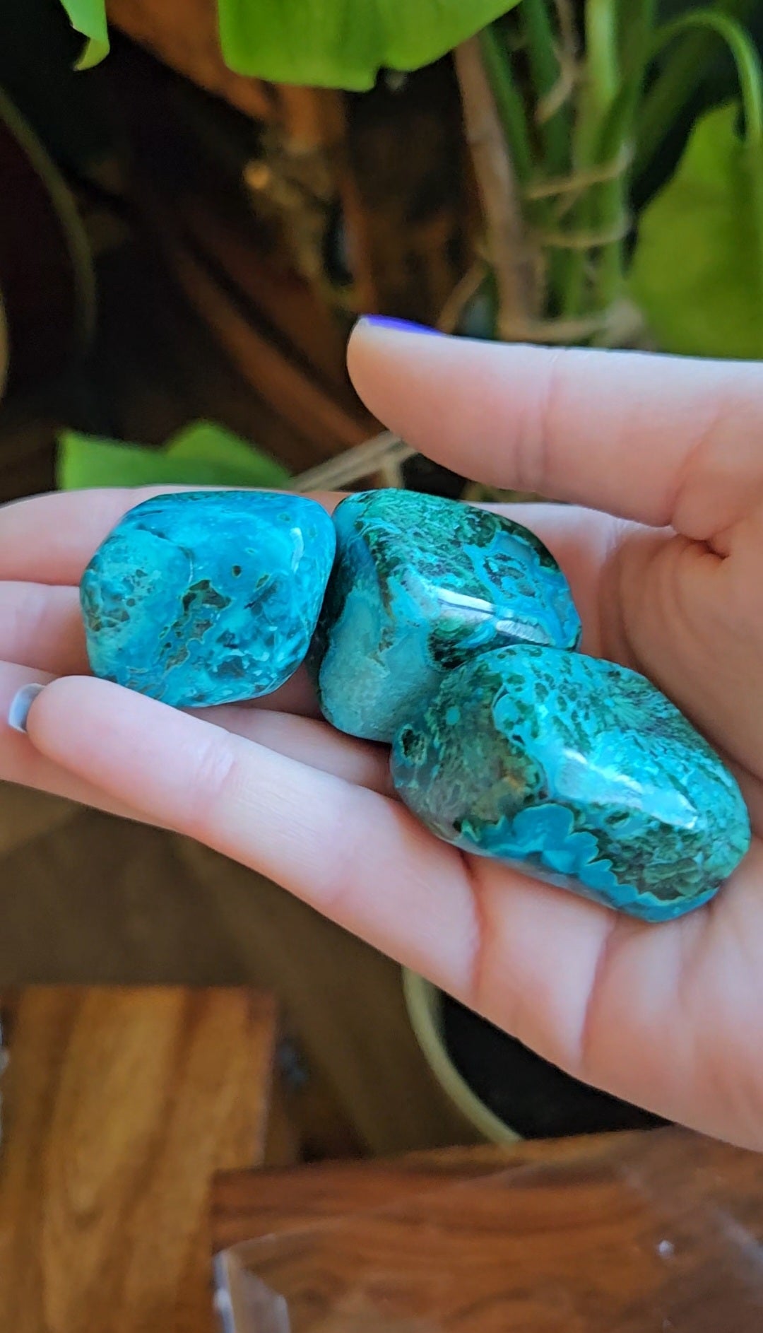 Chrysocolla Azurite tumblestones
