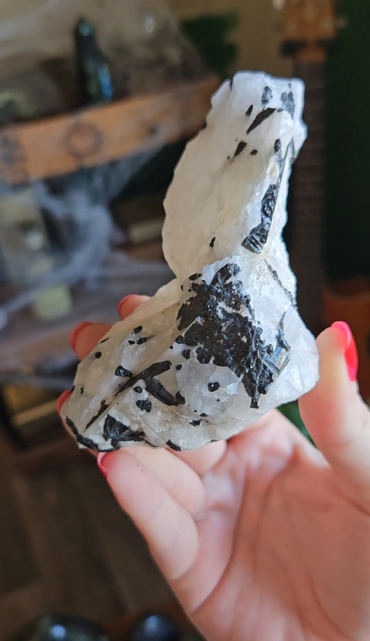 Black Tourmaline in Quartz - 301g