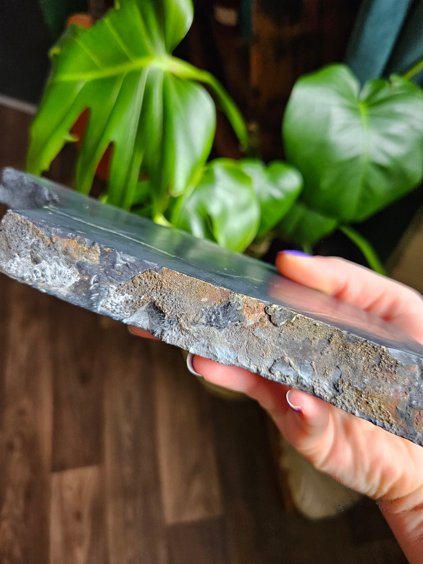 XL Shungite slice with Pyrite