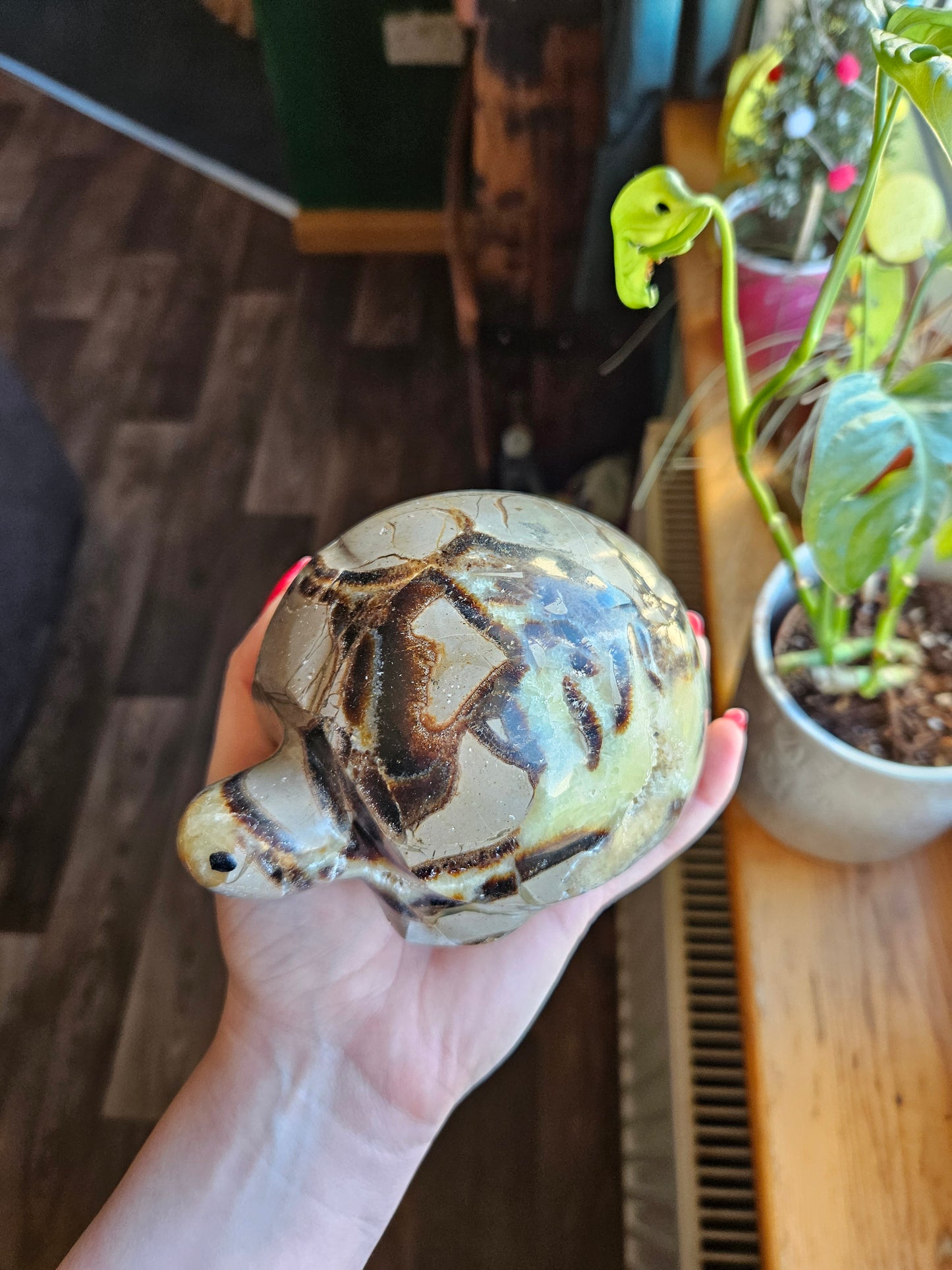 Amazing Septarian turtle carving - 1.1kg
