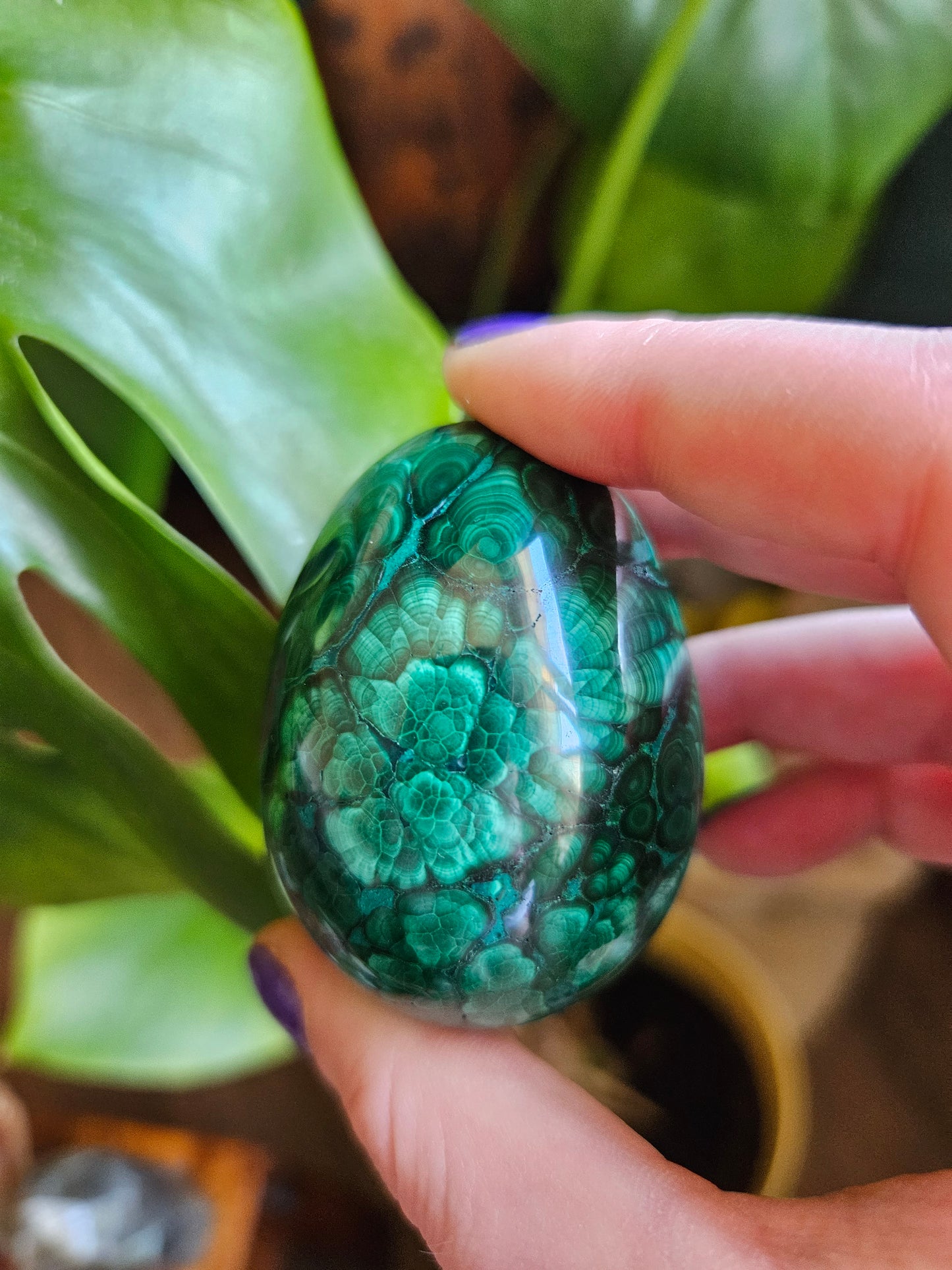 Malachite egg
