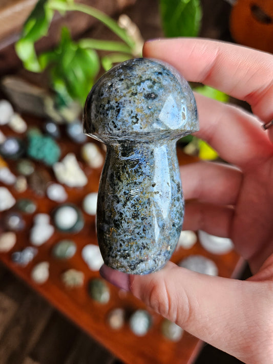 Ocean Jasper mushroom - 146g