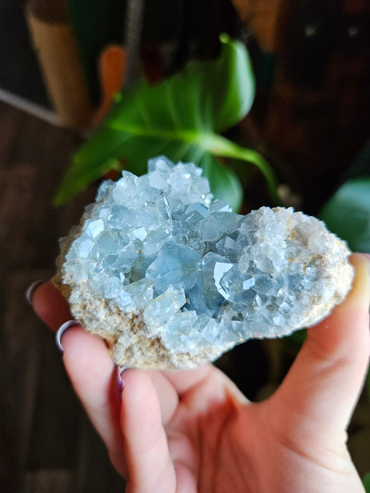 Blue Celestite geode // discount for damage