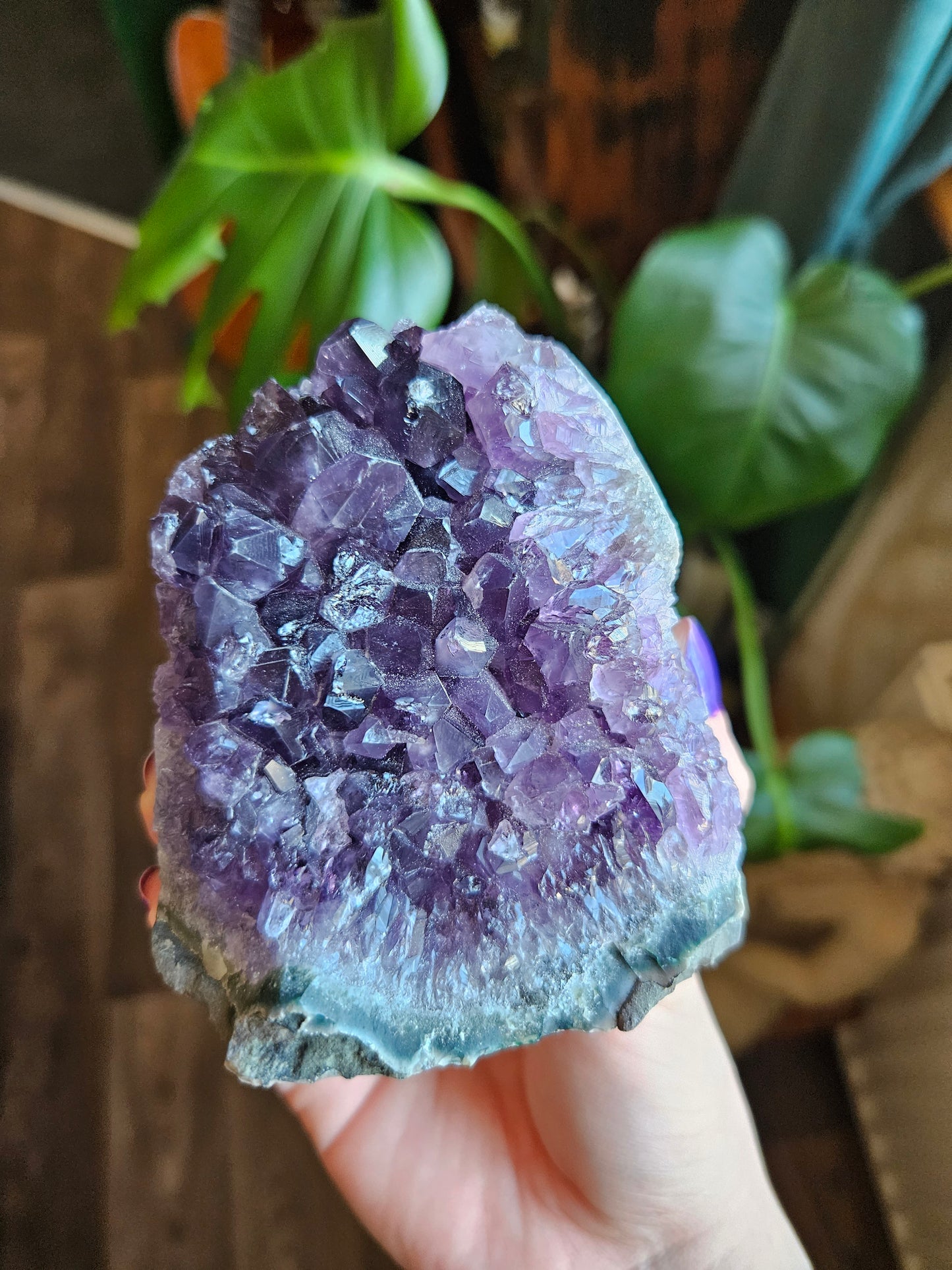 Large Grape Amethyst geode
