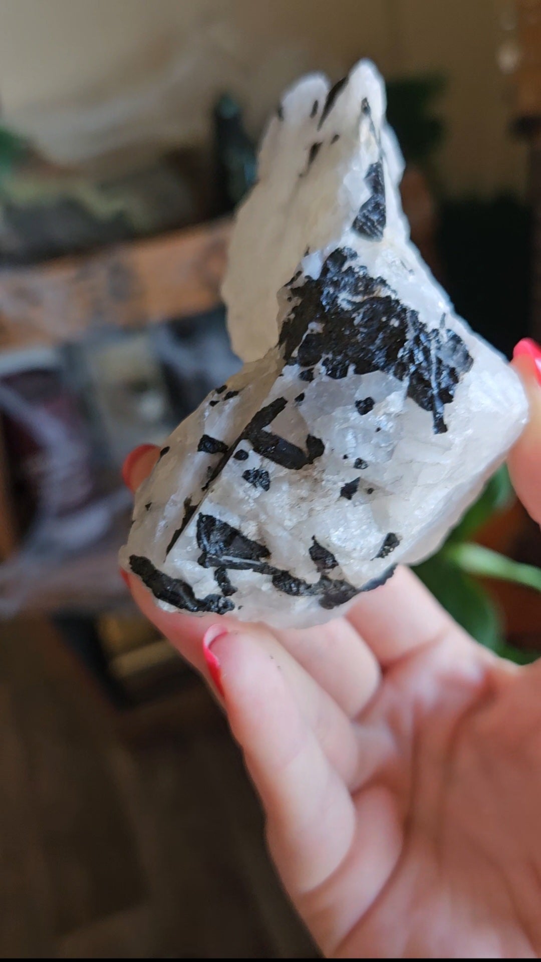 Black Tourmaline in Quartz - 301g