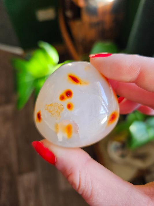 Dotted Carnelian palmstone
