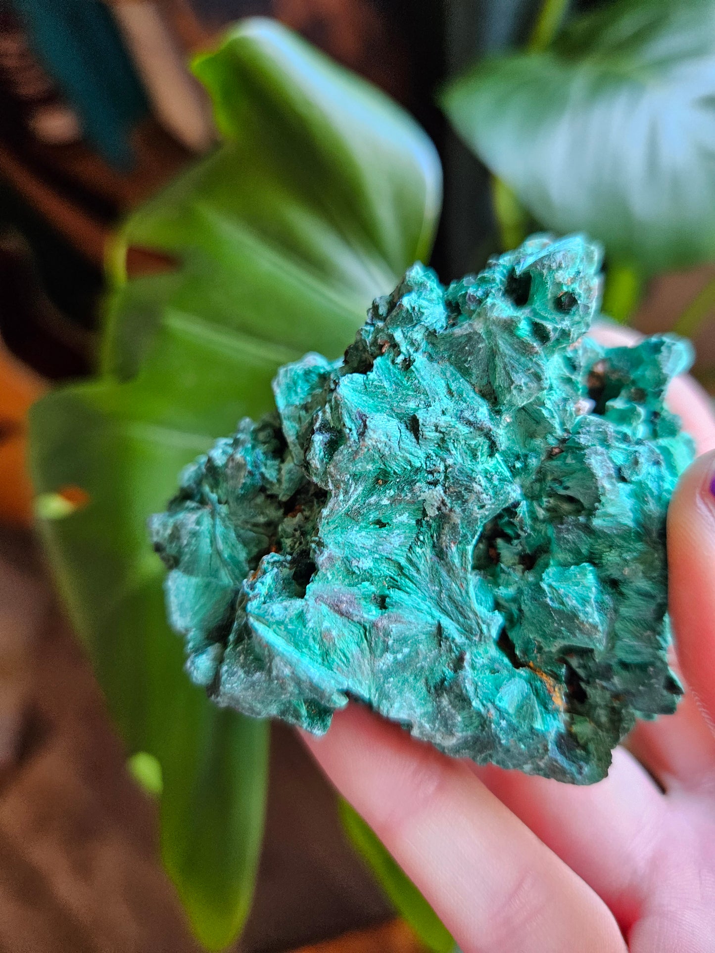 Velvet Malachite specimen - 194g