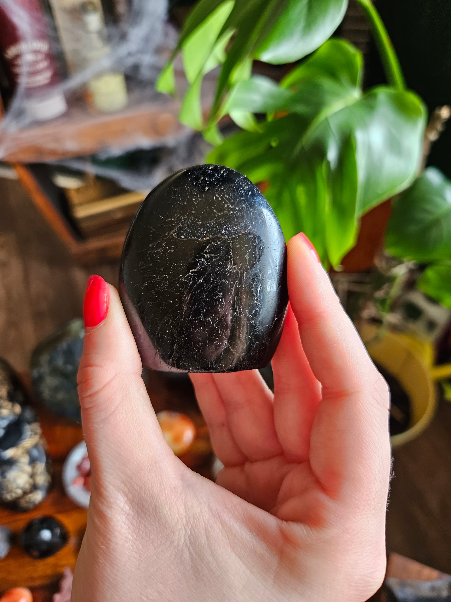 Black Tourmaline freeform