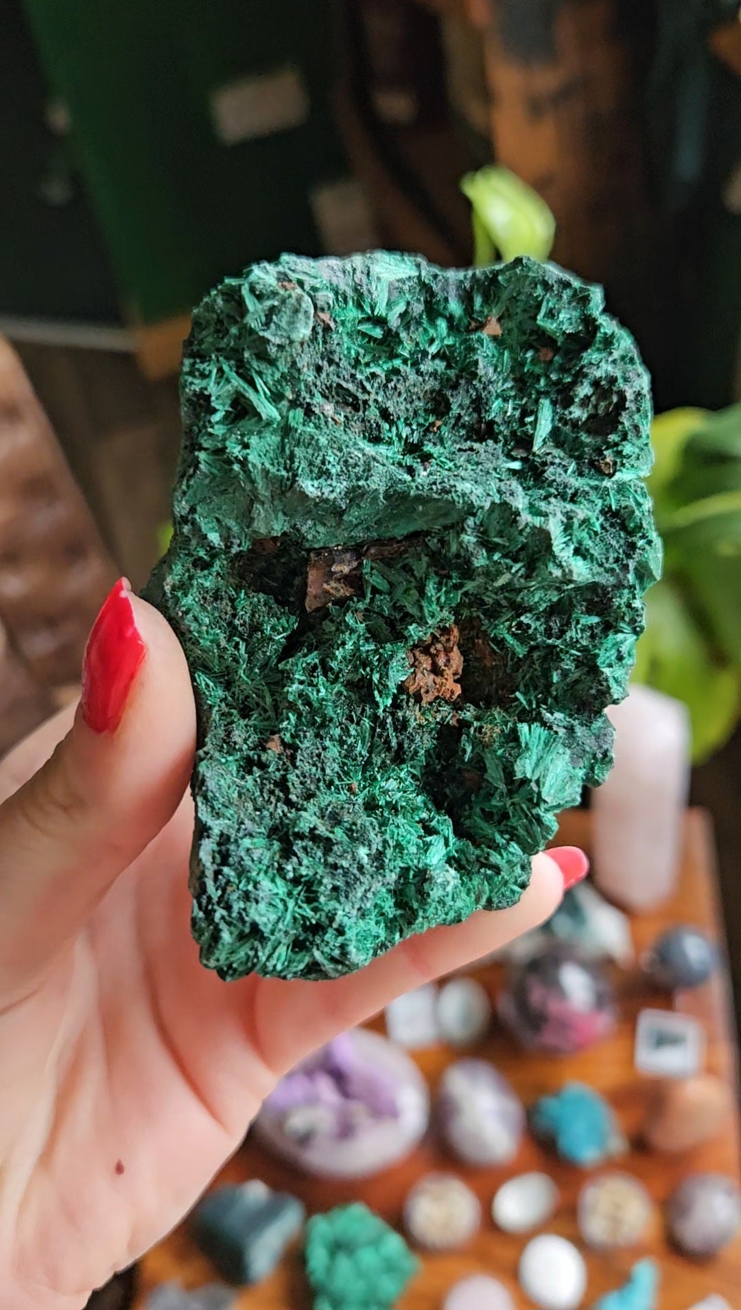 XL Velvet Malachite specimen - 455g