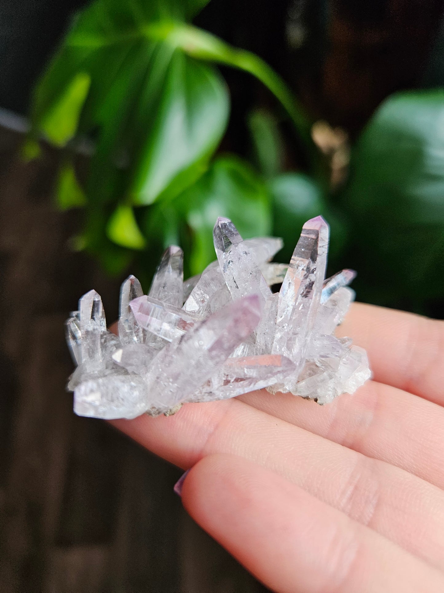 Vera Cruz Amethyst