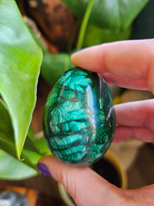 Malachite egg