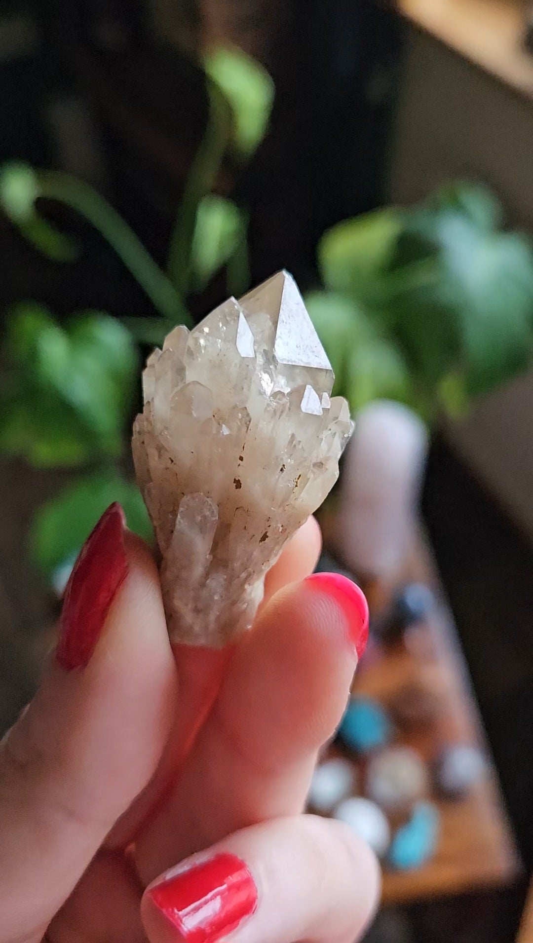 Kundalini Citrine - 21g