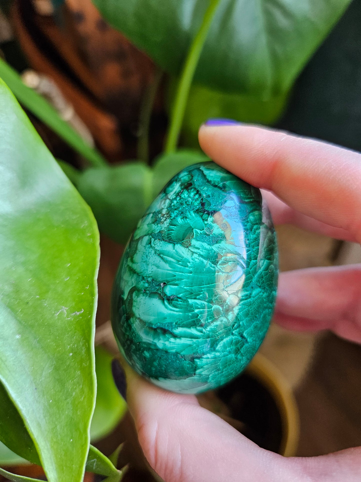 Malachite egg