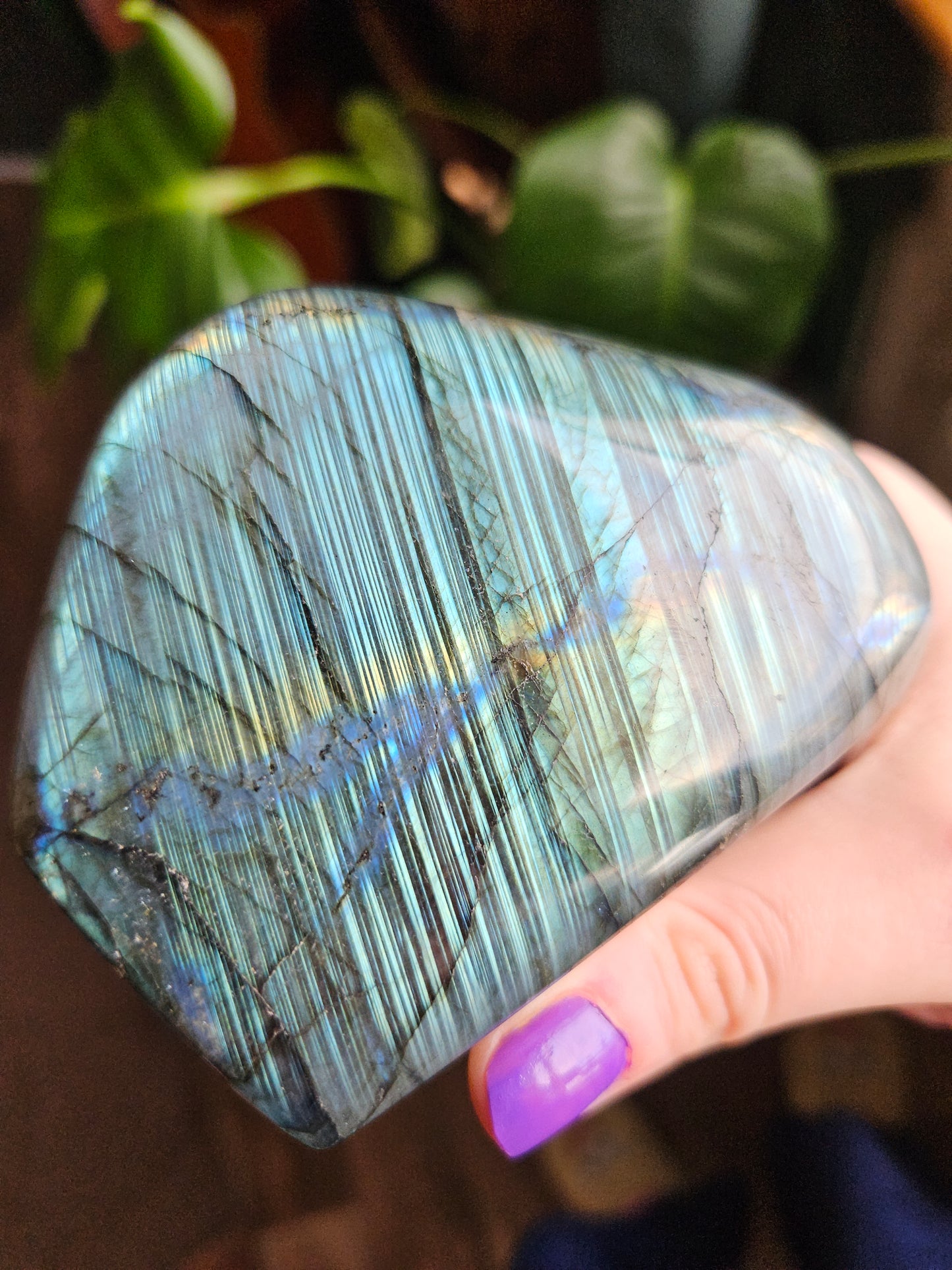 Labradorite freeform - 552g
