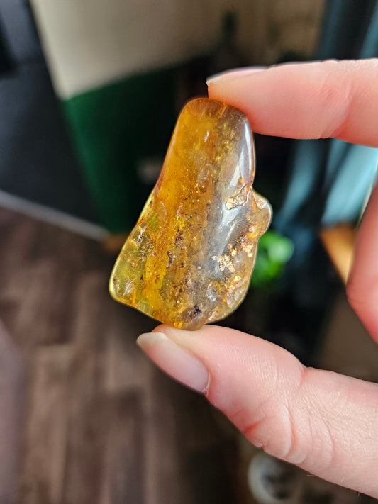 Amber fossil