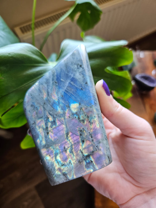 Large Purple Labradorite freeform