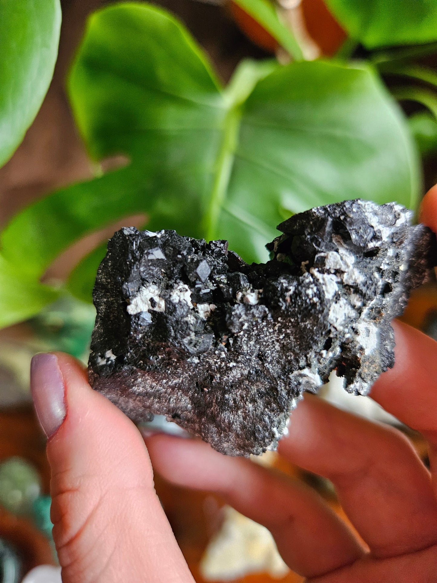 Melanite Black Garnet specimen