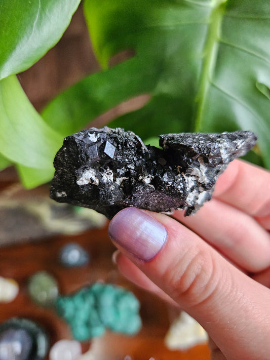 Melanite Black Garnet specimen