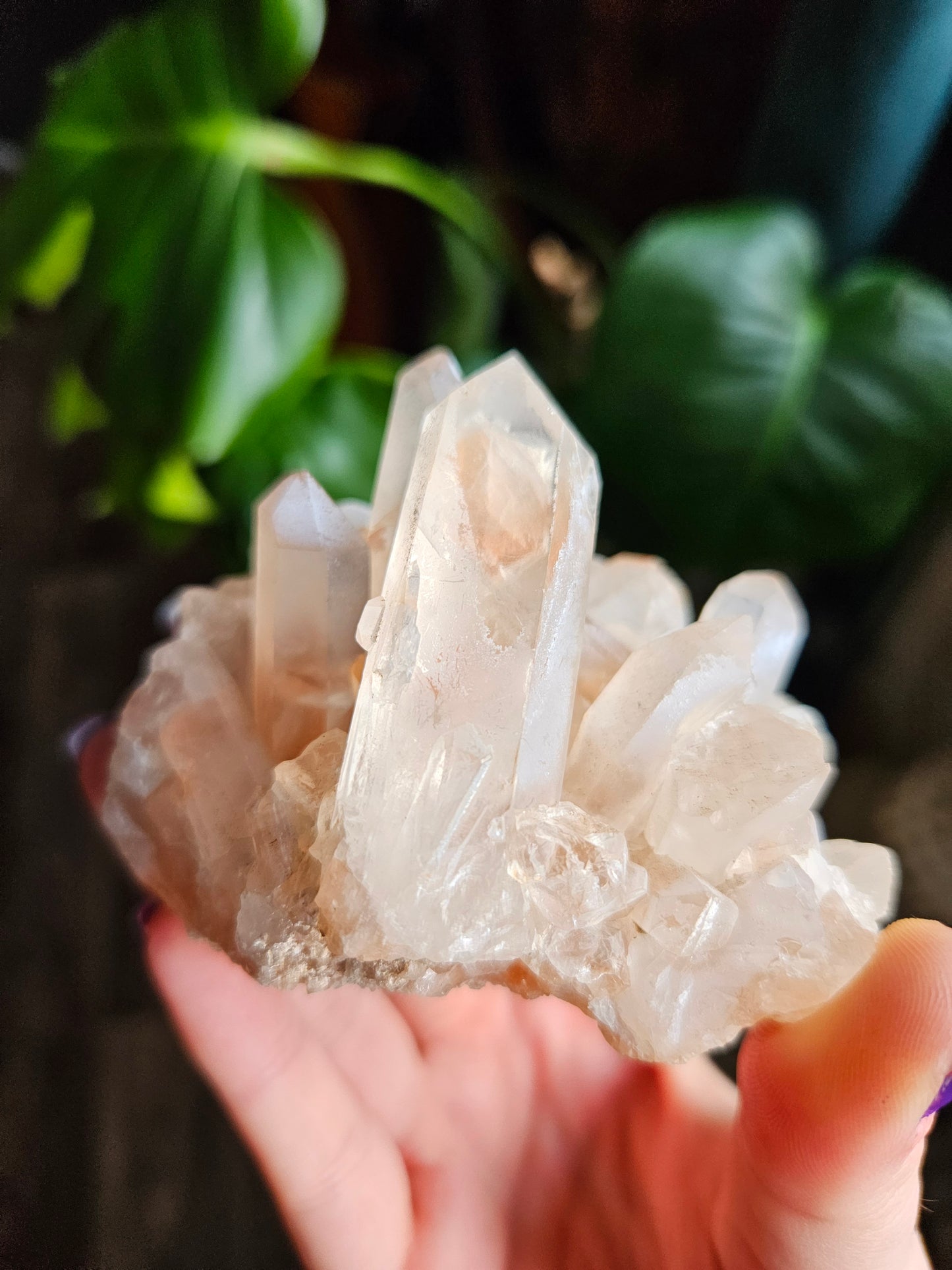Madagascan Quartz cluster