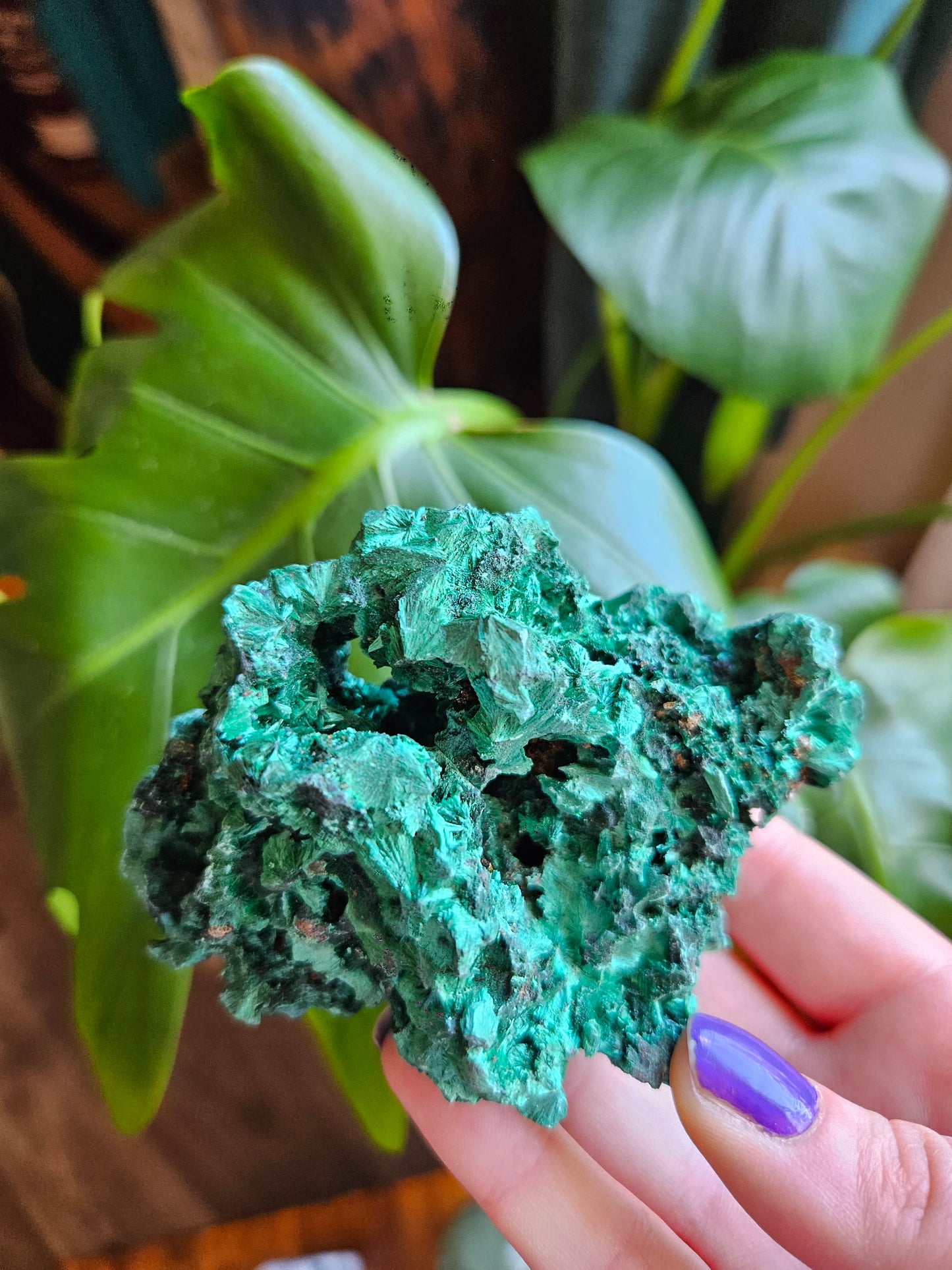 Velvet Malachite specimen - 261g