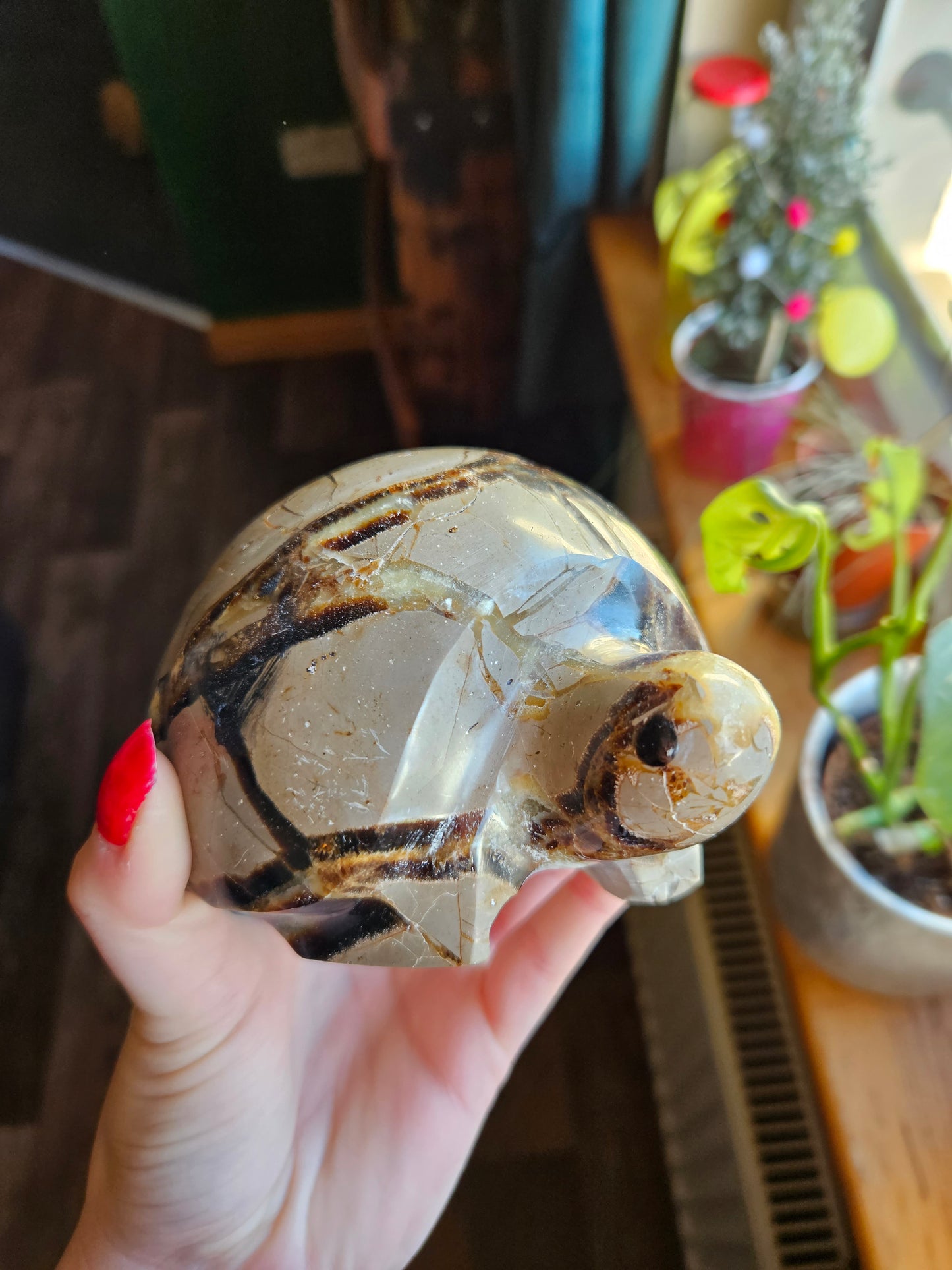 Amazing Septarian turtle carving - 1.1kg
