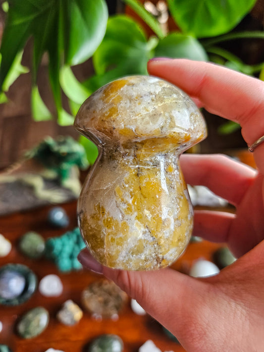 Green Opal mushroom - 249g